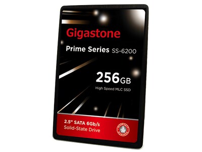 Gigastone Prime Series 256GB Solid State Drive